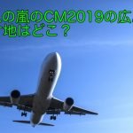 JALの嵐のCM2019の広島のロケ地はどこ？ハートと手裏剣の格子を見たい！