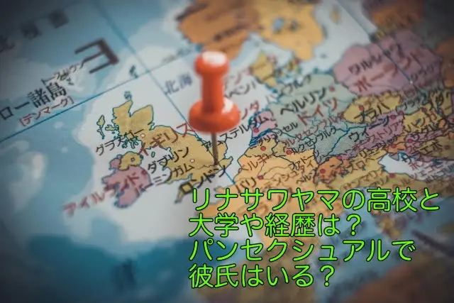リナサワヤマ 経歴