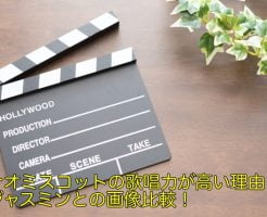 ナオミスコット 歌唱力