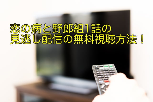 恋の病と野郎組 1話 見逃し