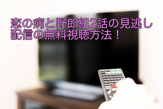 恋の病と野郎組 2話 見逃し