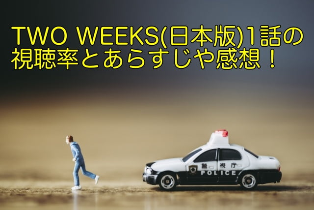 two weeks 1話　あらすじ