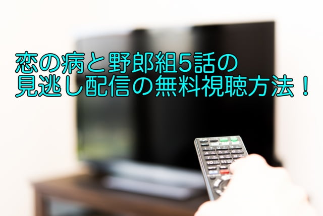 恋の病と野郎組 5話 見逃し