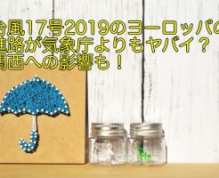 台風17号 2019 ヨーロッパ