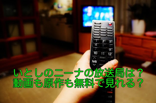 いとしのニーナ 放送局