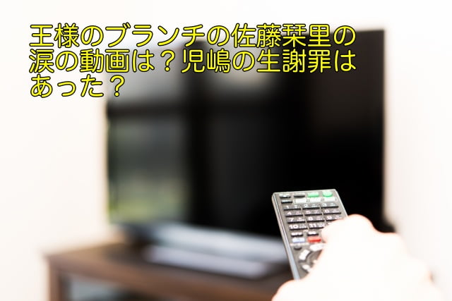 王様のブランチ 佐藤栞里 動画